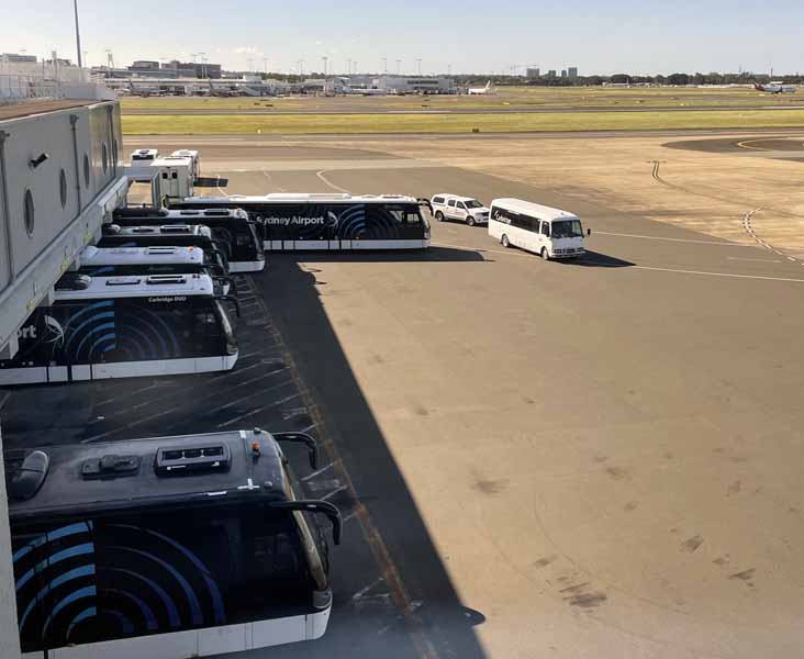 Carbridge Duos & Rosa